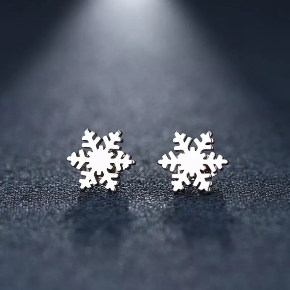 Stainless Steel Silver Snowflake Earrings